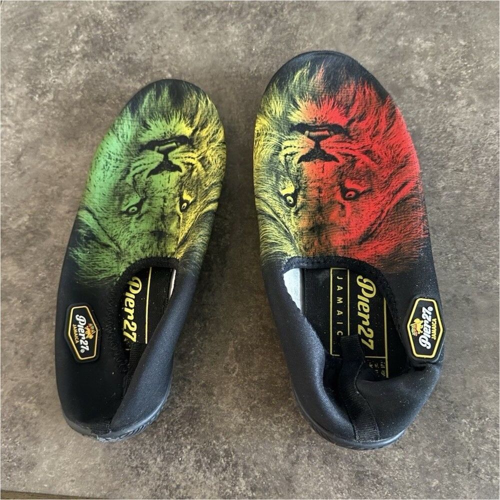 Dren27 Men’s Low Top Slip-On Athletic Sneakers Black/Green/Red Lion Graphic